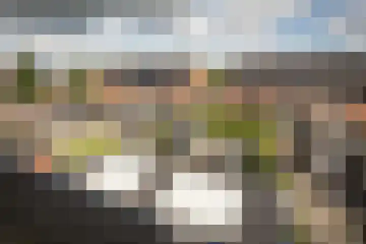 Scholekster 22 Hoogkarspel thumbnail 32