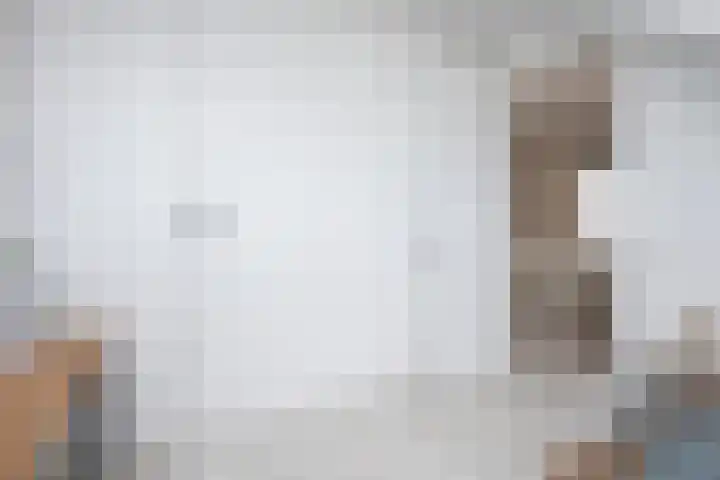 Scholekster 22 Hoogkarspel thumbnail 33