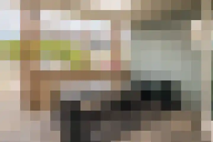 Scholekster 22 Hoogkarspel thumbnail 34