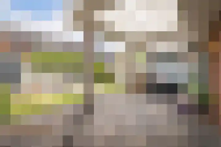Scholekster 22 Hoogkarspel thumbnail 36