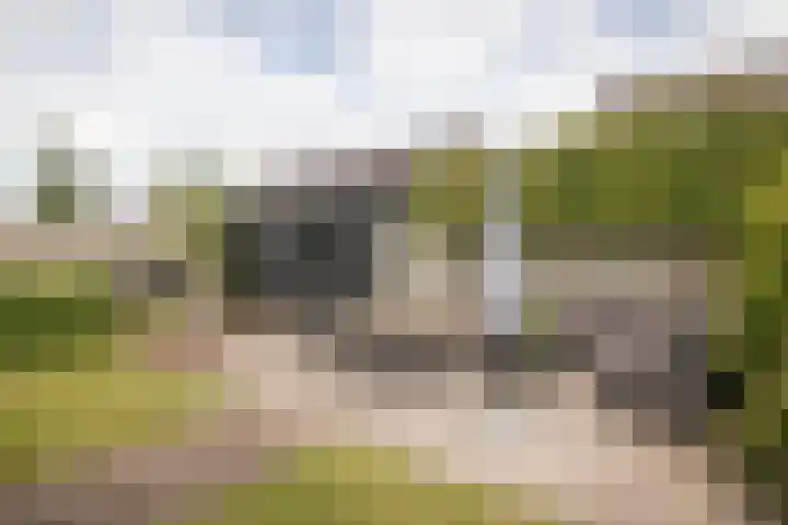 Scholekster 22 Hoogkarspel thumbnail 37