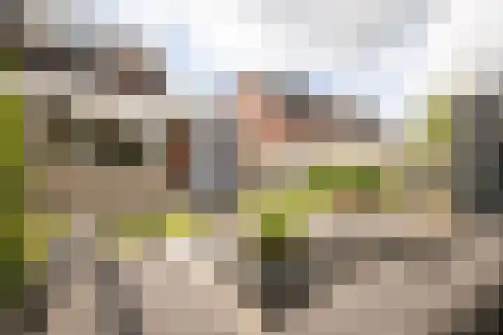 Scholekster 22 Hoogkarspel thumbnail 38