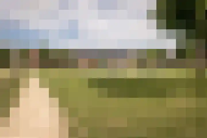 Scholekster 22 Hoogkarspel thumbnail 4