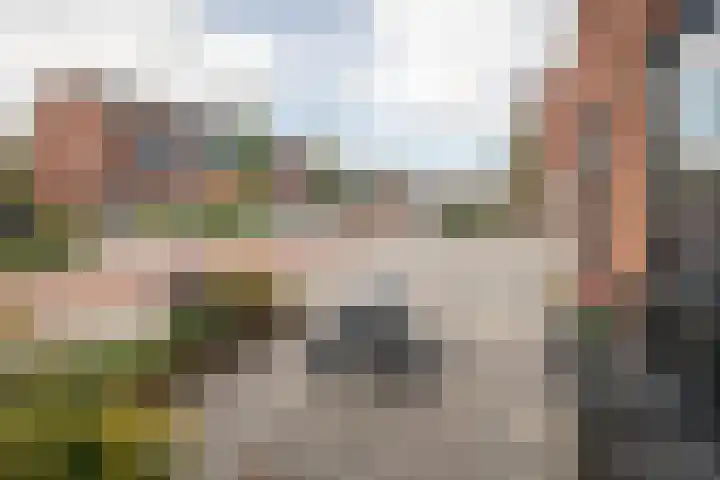 Scholekster 22 Hoogkarspel thumbnail 43