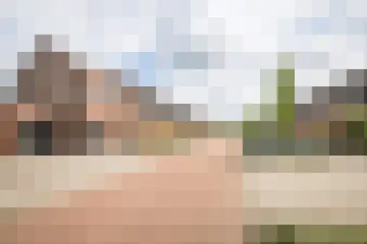 Scholekster 22 Hoogkarspel thumbnail 44