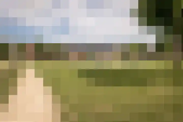 Scholekster 22 Hoogkarspel thumbnail 45