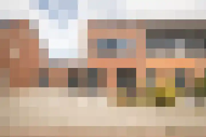 Scholekster 22 Hoogkarspel thumbnail 5