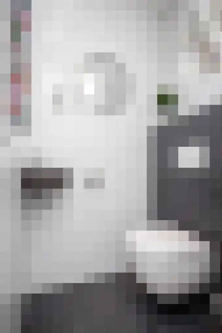Scholekster 22 Hoogkarspel thumbnail 51