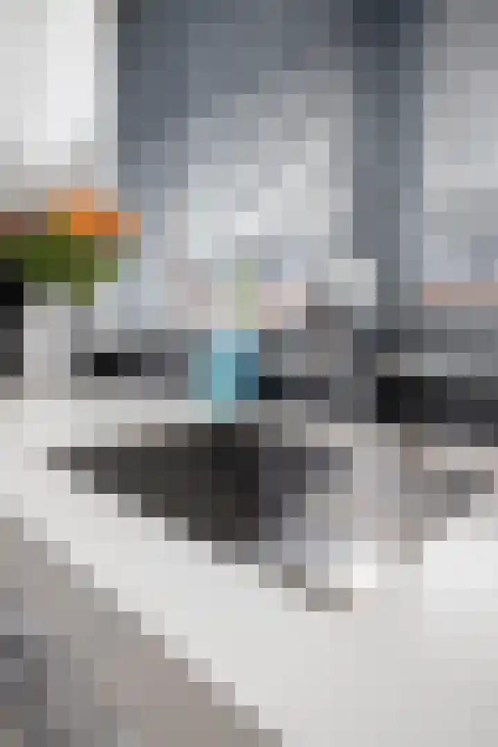 Scholekster 22 Hoogkarspel thumbnail 53