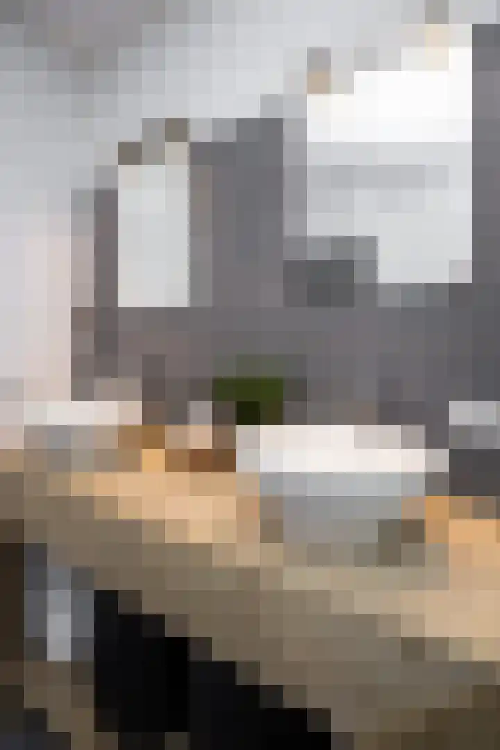 Scholekster 22 Hoogkarspel thumbnail 55