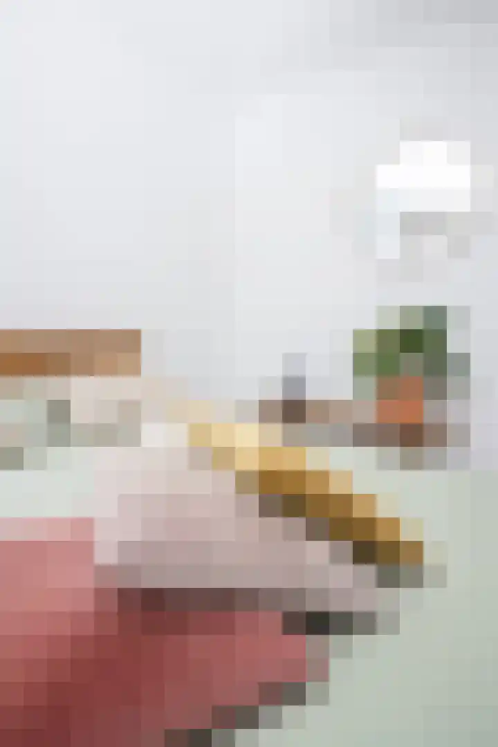 Scholekster 22 Hoogkarspel thumbnail 56
