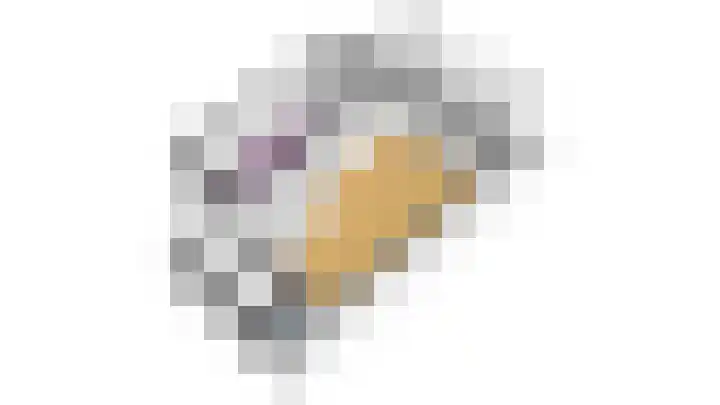 Scholekster 22 Hoogkarspel thumbnail 60