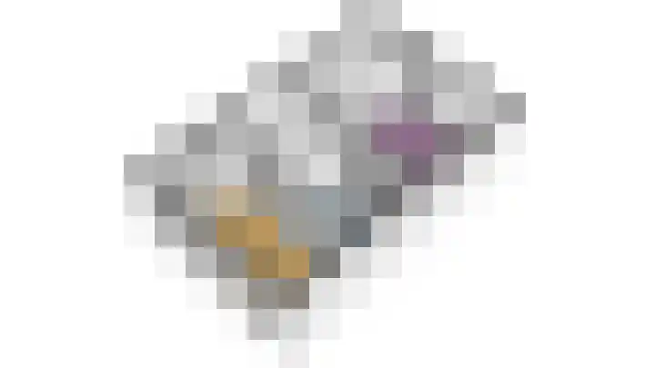 Scholekster 22 Hoogkarspel thumbnail 62