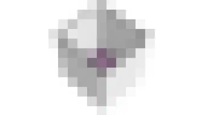 Scholekster 22 Hoogkarspel thumbnail 66