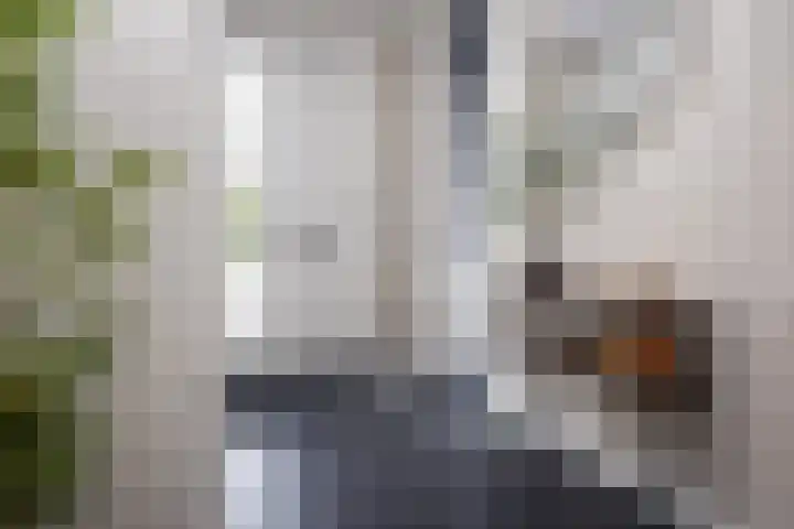 Scholekster 22 Hoogkarspel thumbnail 7