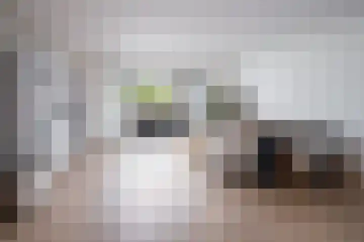 Scholekster 22 Hoogkarspel thumbnail 8