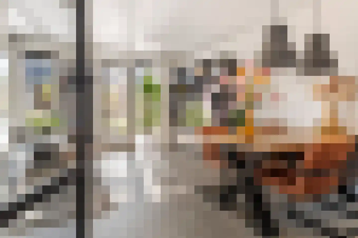 Scholekster 25 Maurik thumbnail 10
