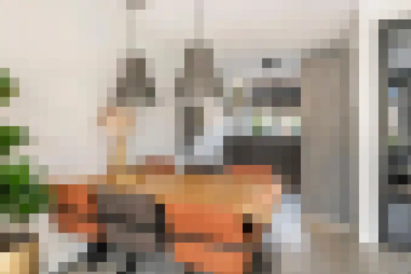 Scholekster 25 Maurik thumbnail 17