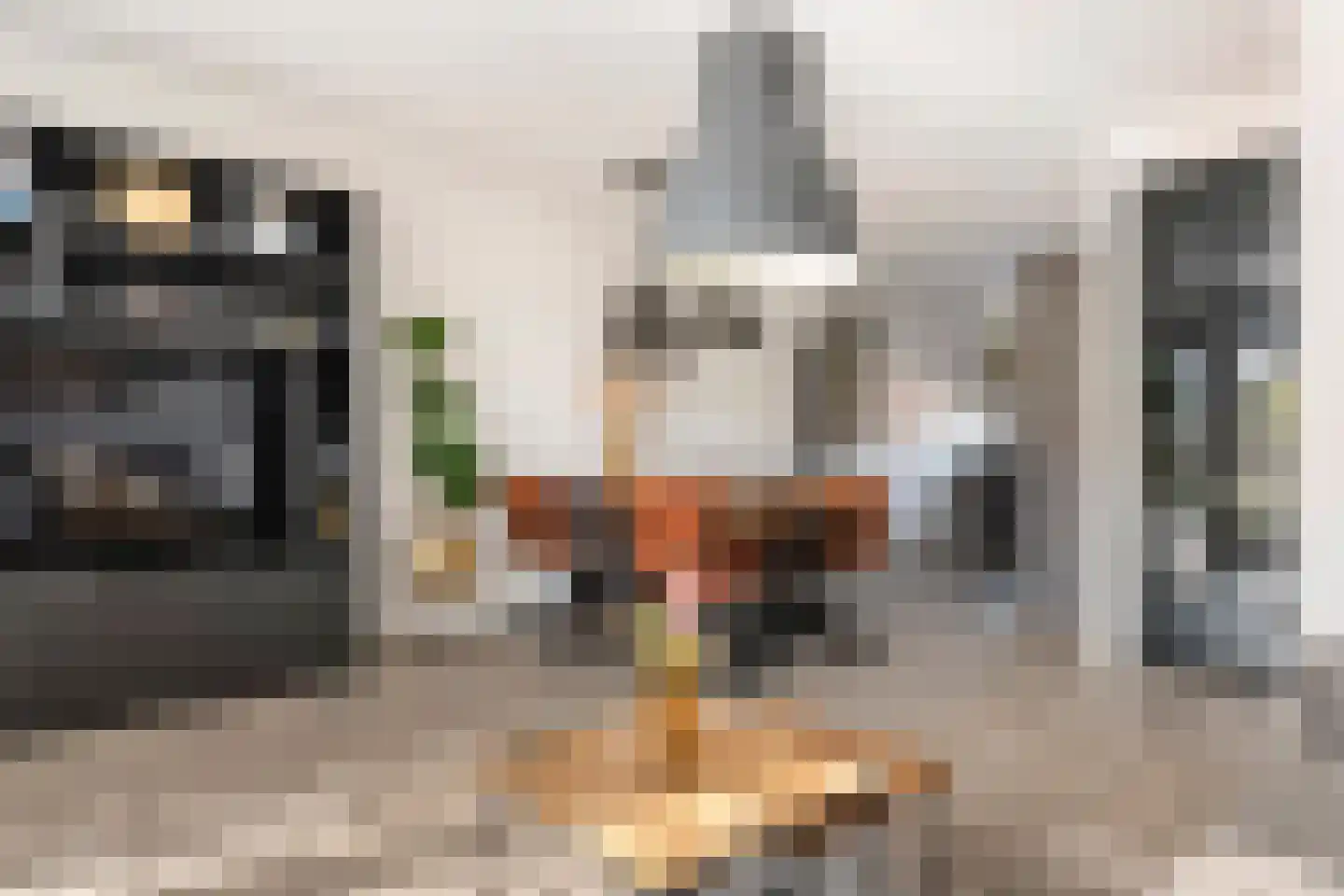 Scholekster 25 Maurik thumbnail 19