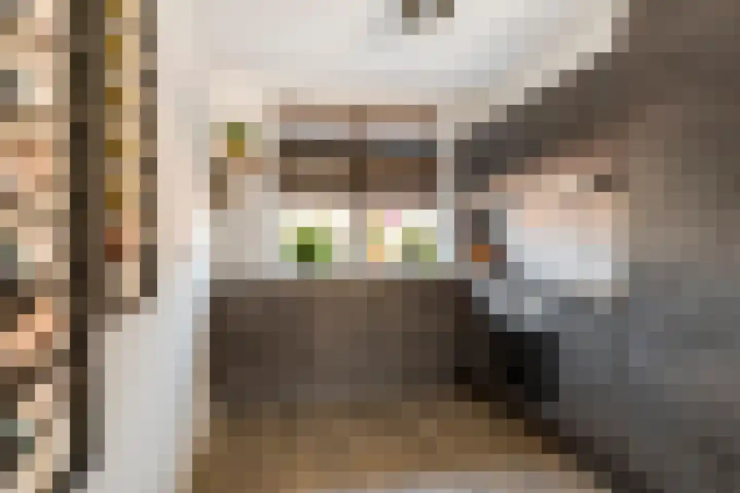 Scholekster 25 Maurik thumbnail 20