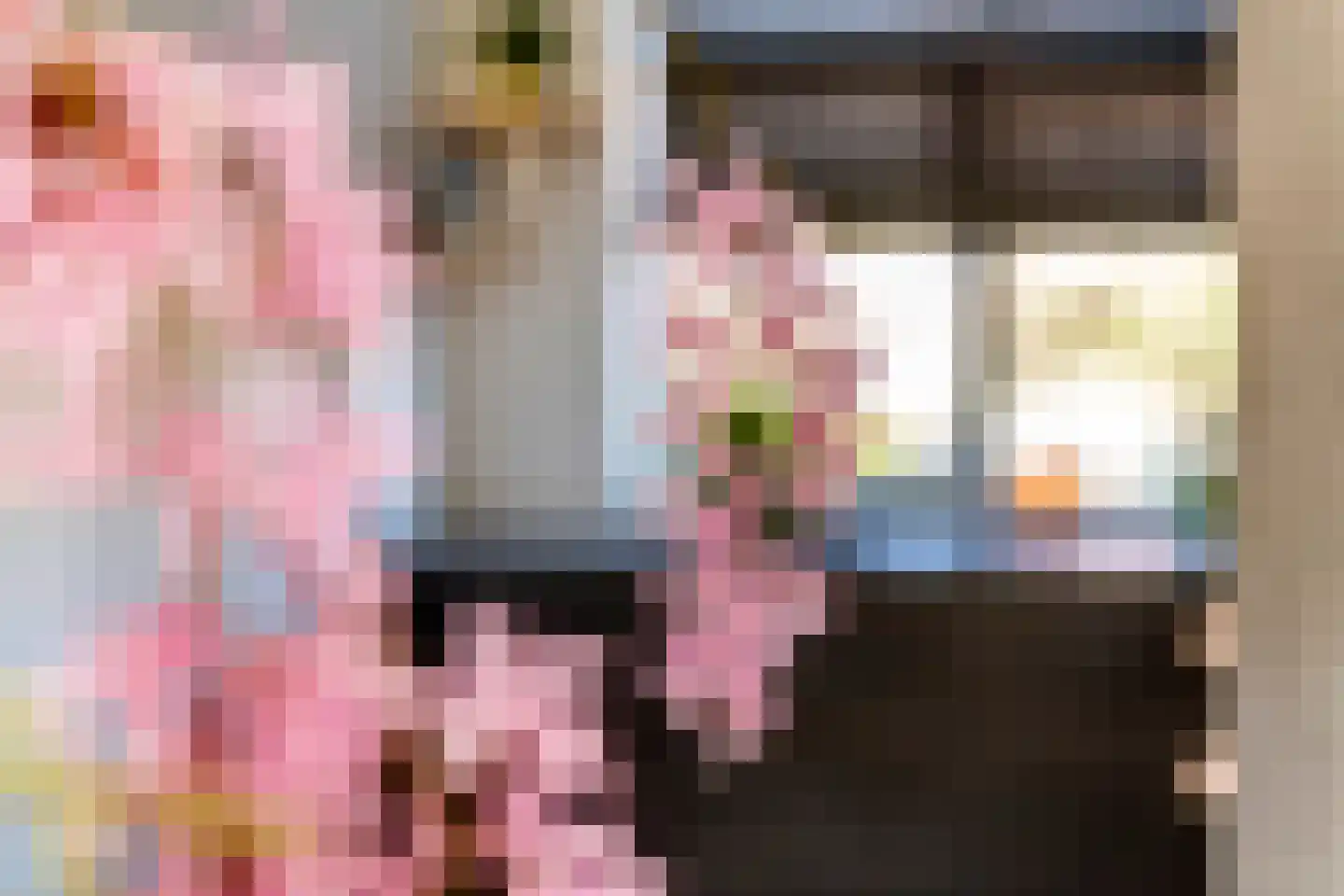 Scholekster 25 Maurik thumbnail 21