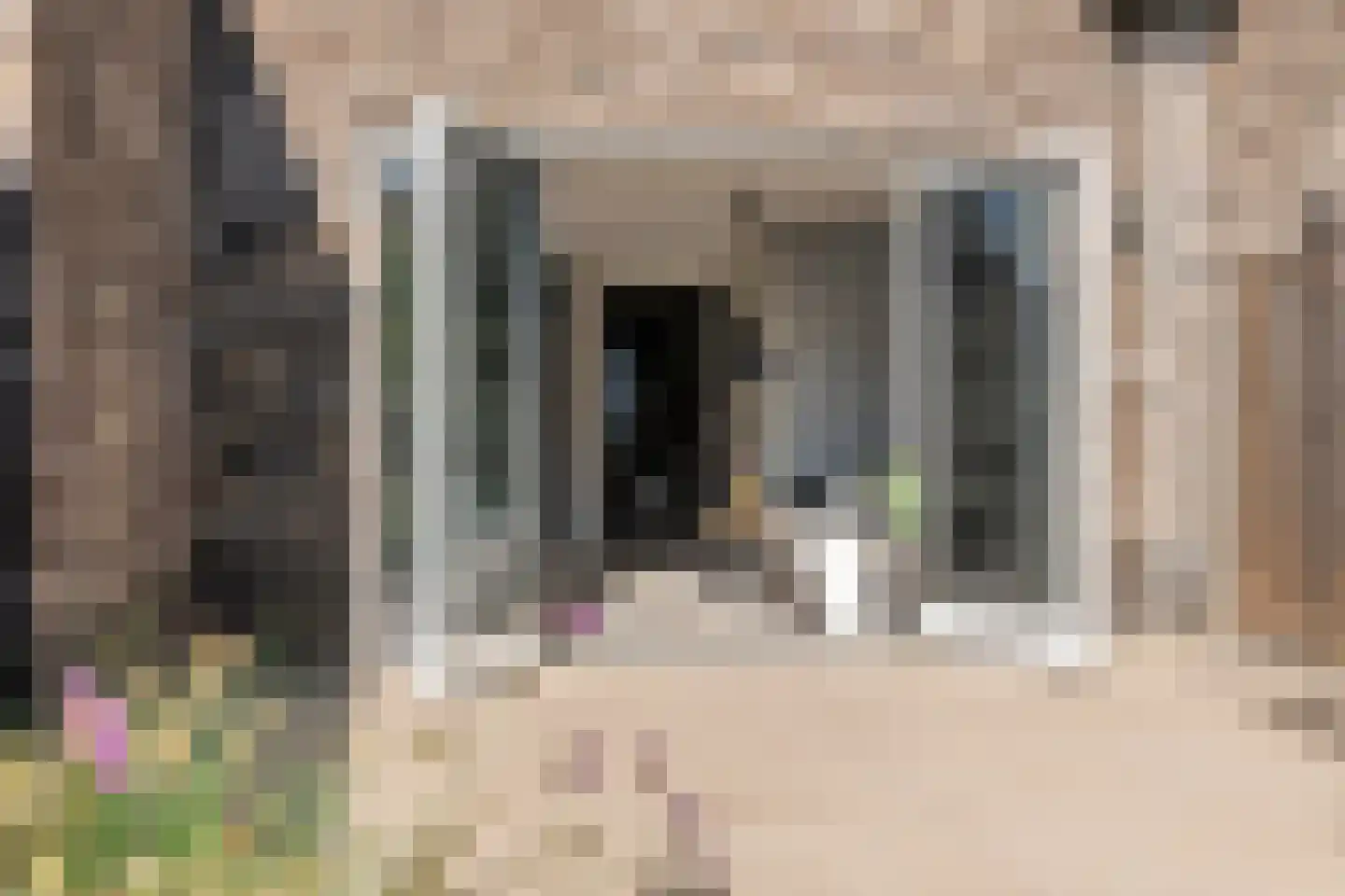 Scholekster 25 Maurik thumbnail 24