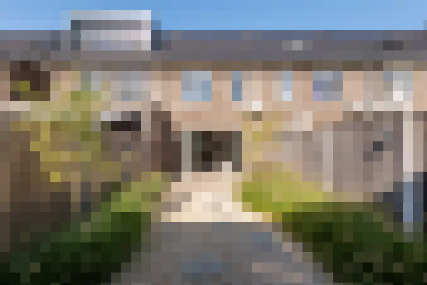 Scholekster 25 Maurik thumbnail 26