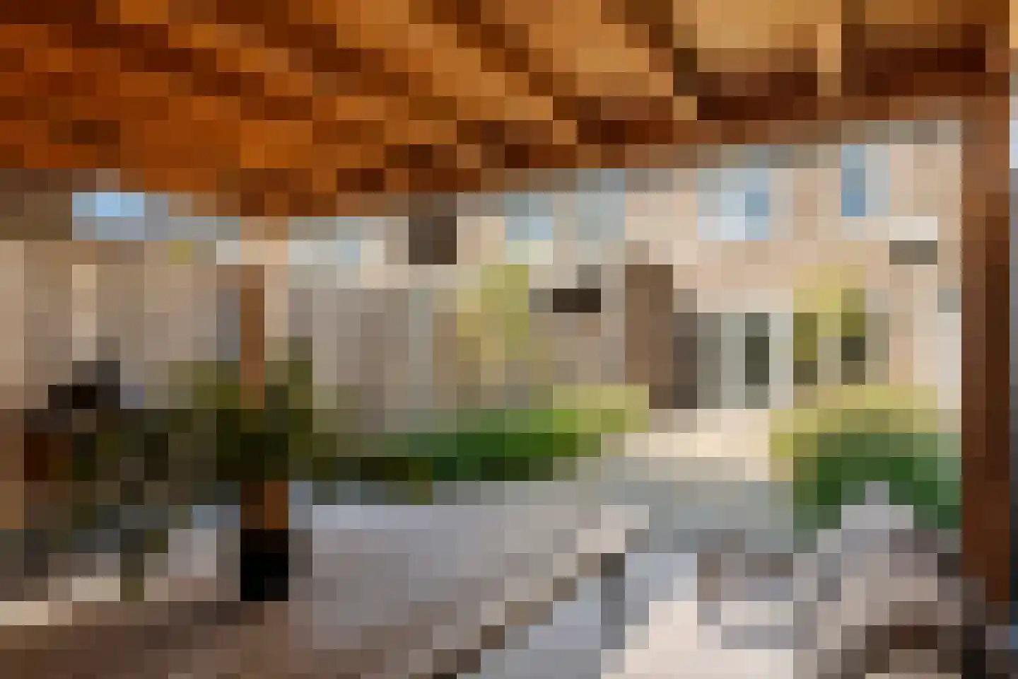 Scholekster 25 Maurik thumbnail 28