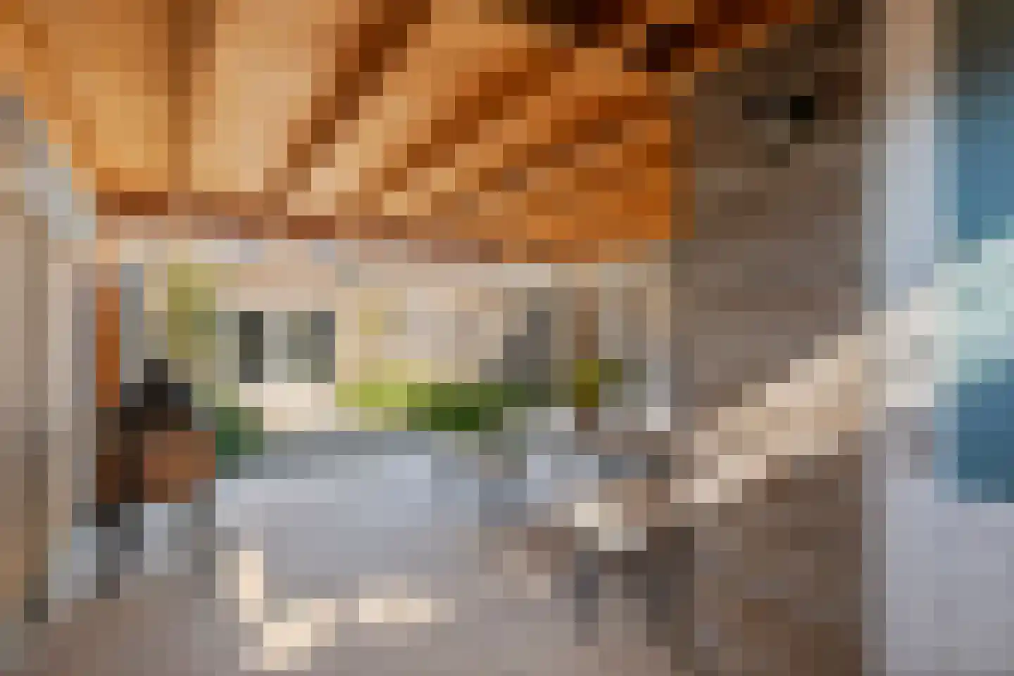 Scholekster 25 Maurik thumbnail 30