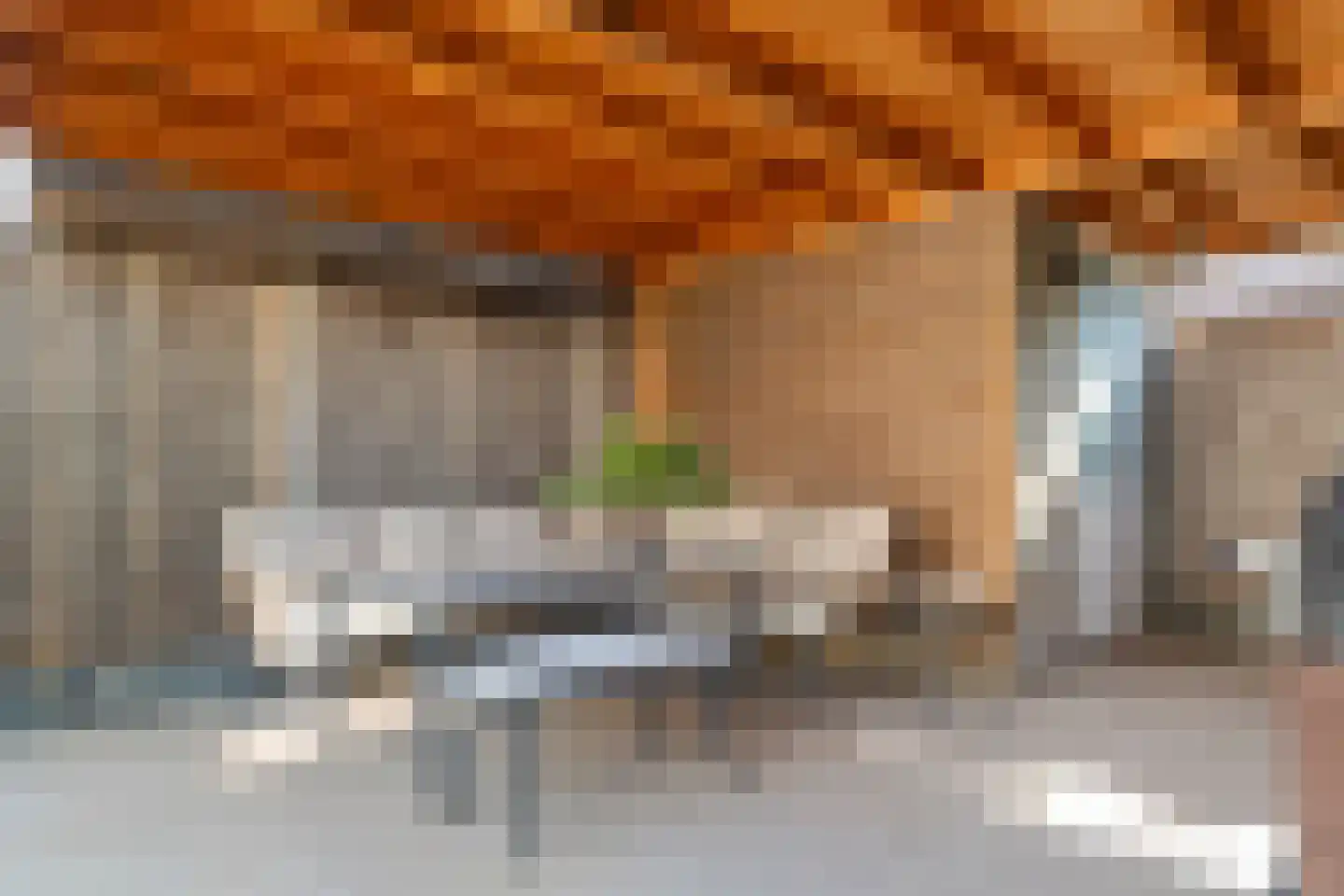 Scholekster 25 Maurik thumbnail 32