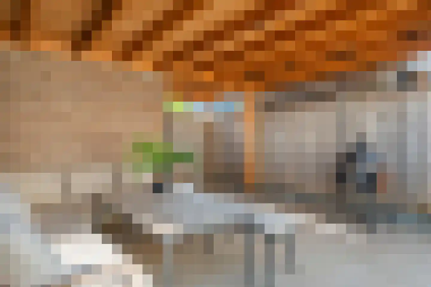 Scholekster 25 Maurik thumbnail 33