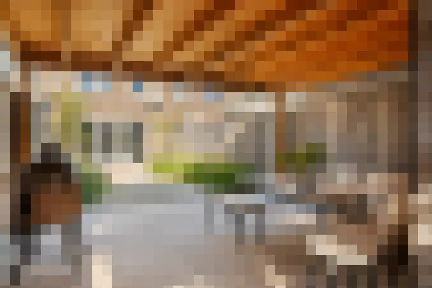 Scholekster 25 Maurik thumbnail 34