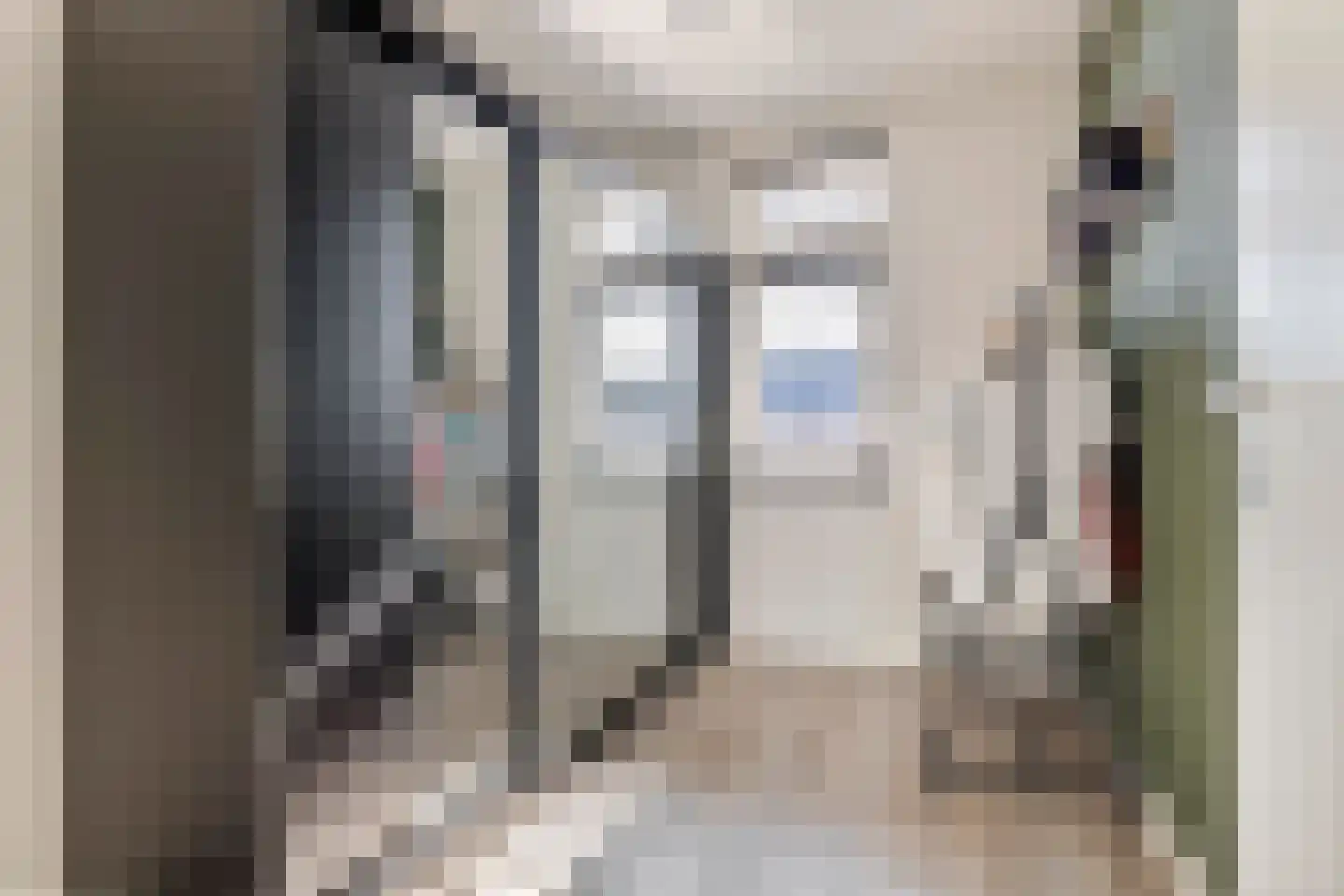 Scholekster 25 Maurik thumbnail 36
