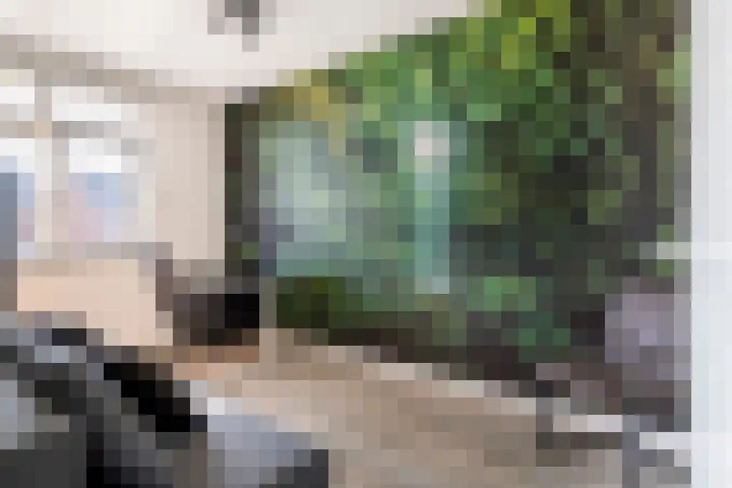 Scholekster 25 Maurik thumbnail 37