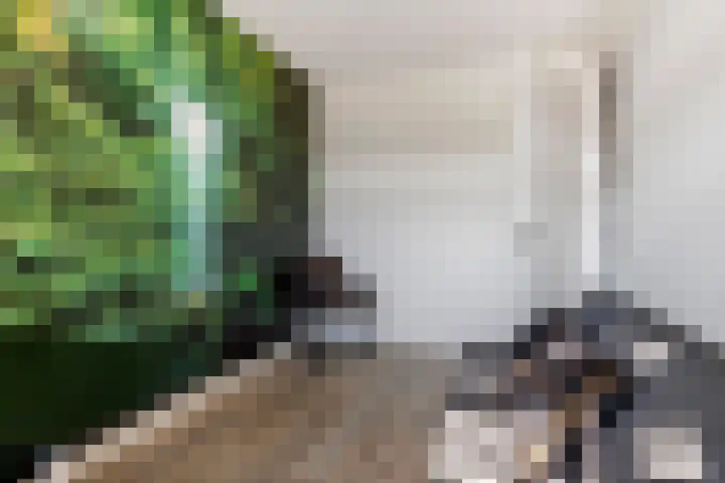Scholekster 25 Maurik thumbnail 38
