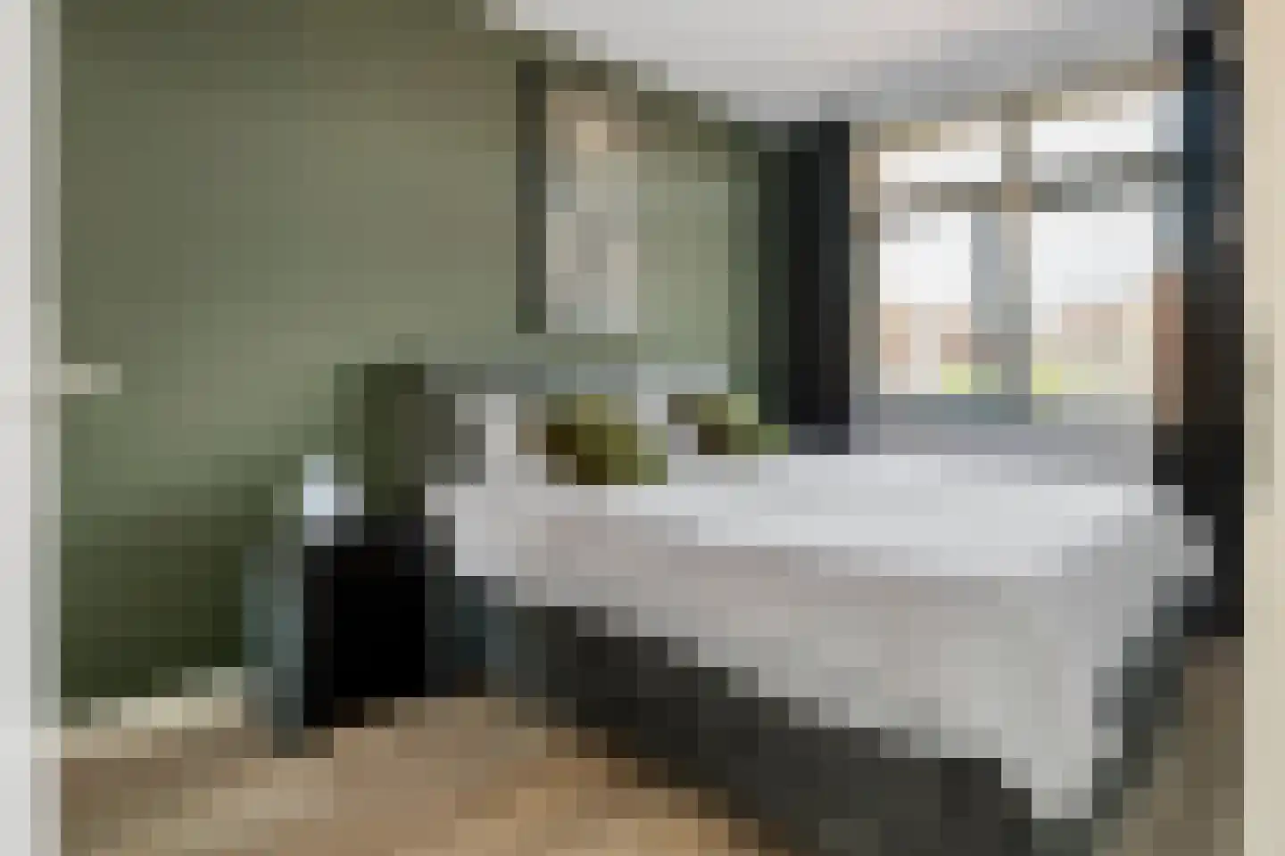 Scholekster 25 Maurik thumbnail 39