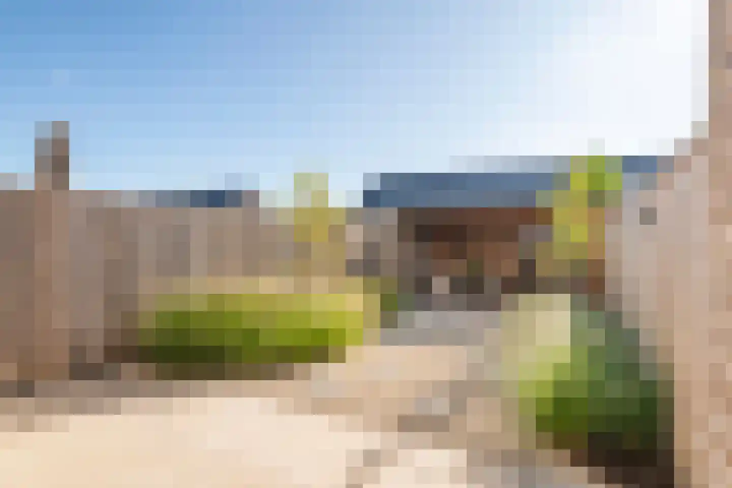 Scholekster 25 Maurik thumbnail 4