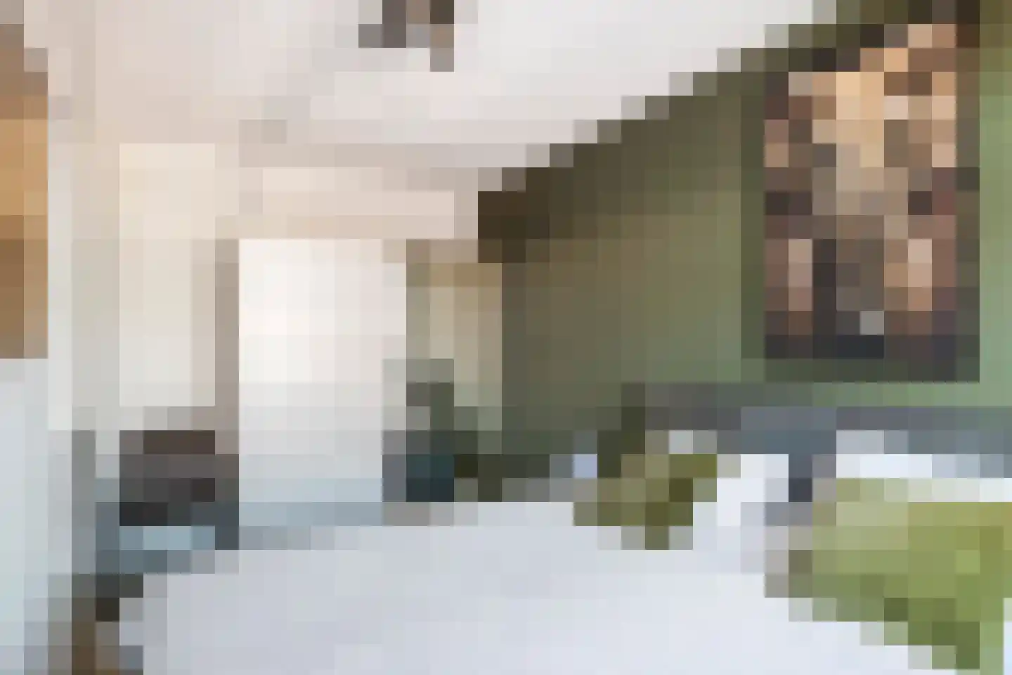Scholekster 25 Maurik thumbnail 40