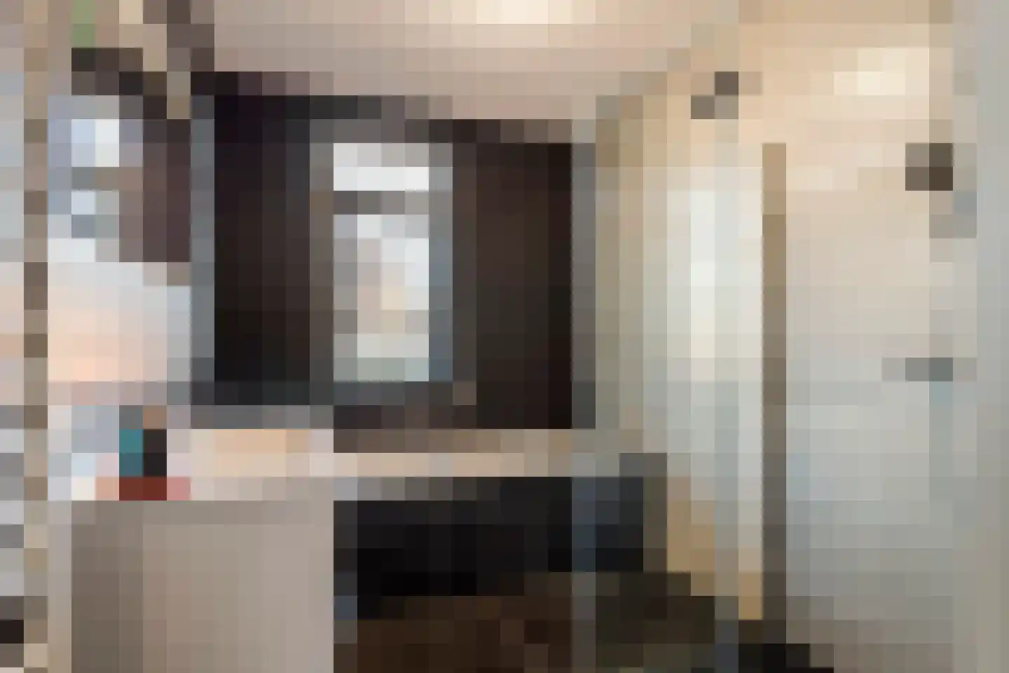 Scholekster 25 Maurik thumbnail 42