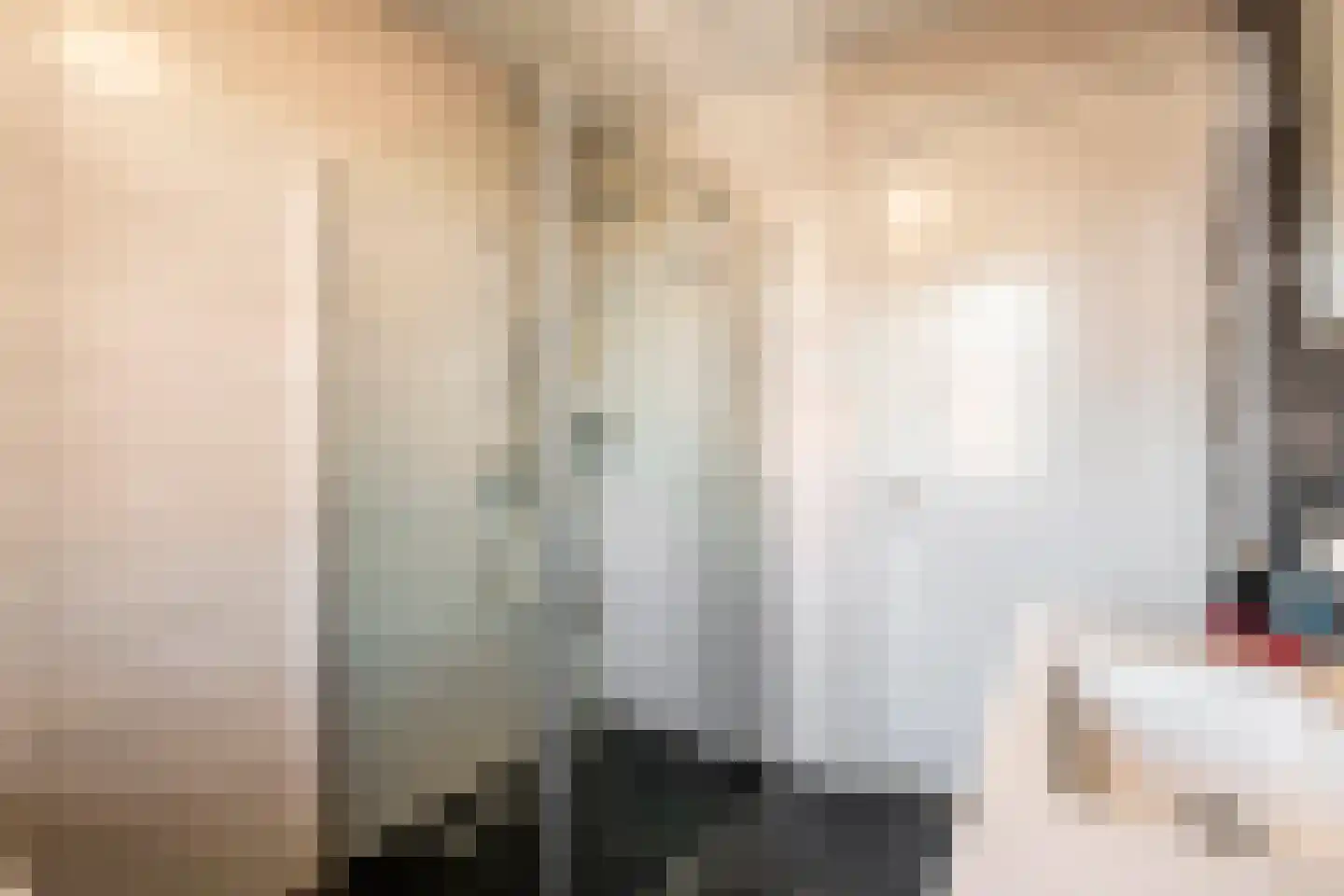 Scholekster 25 Maurik thumbnail 43