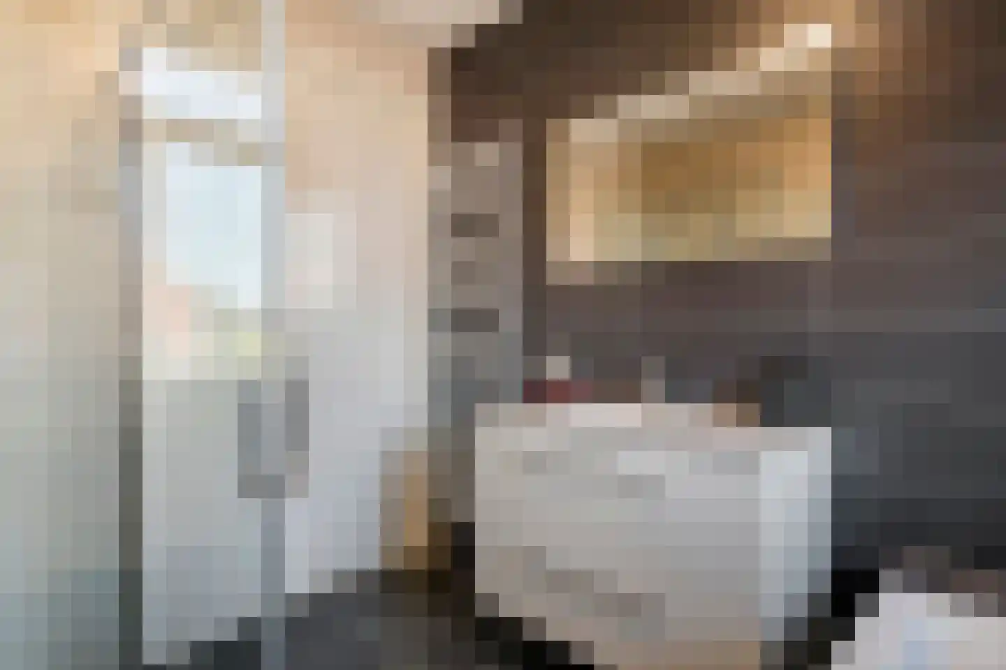 Scholekster 25 Maurik thumbnail 44