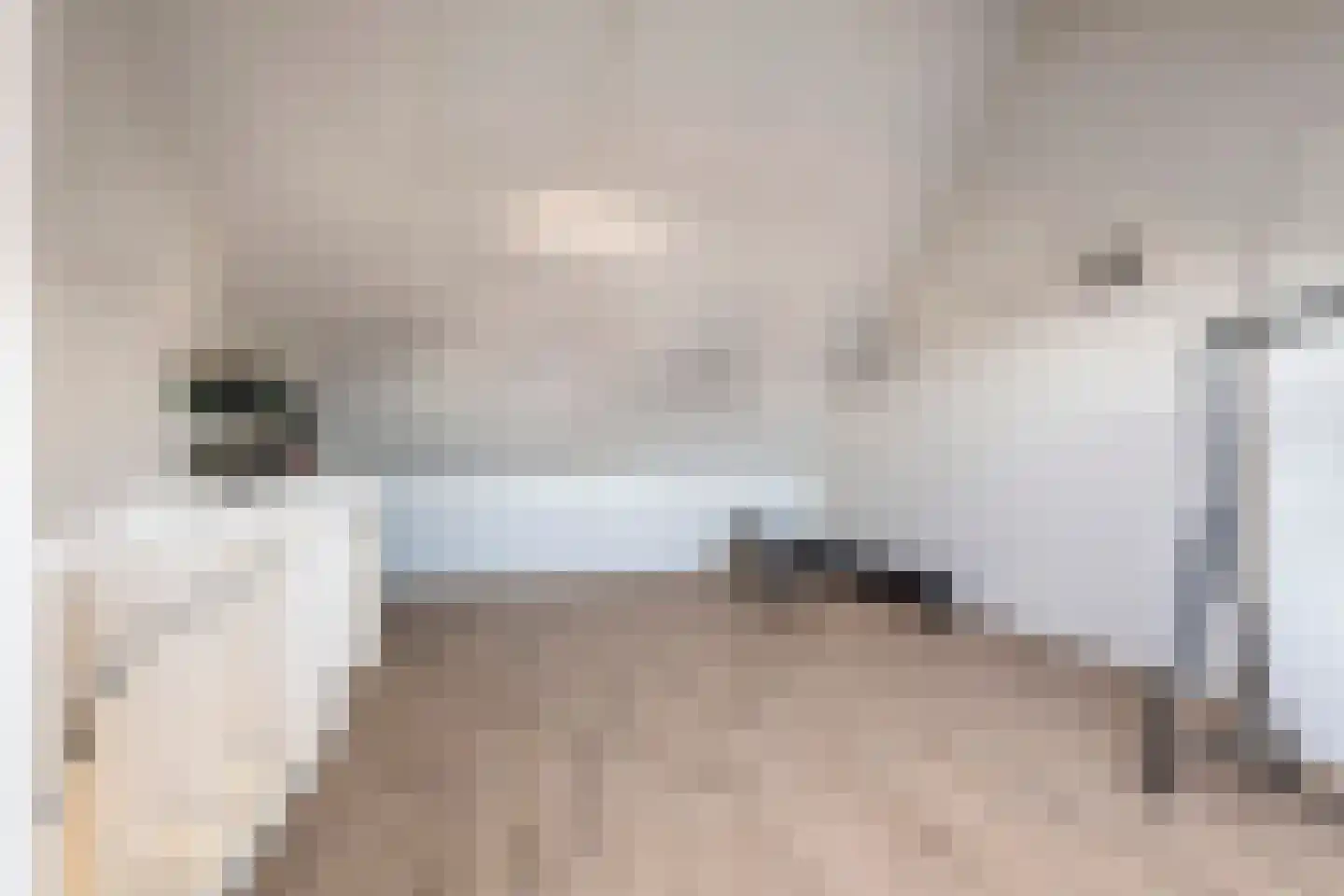 Scholekster 25 Maurik thumbnail 47