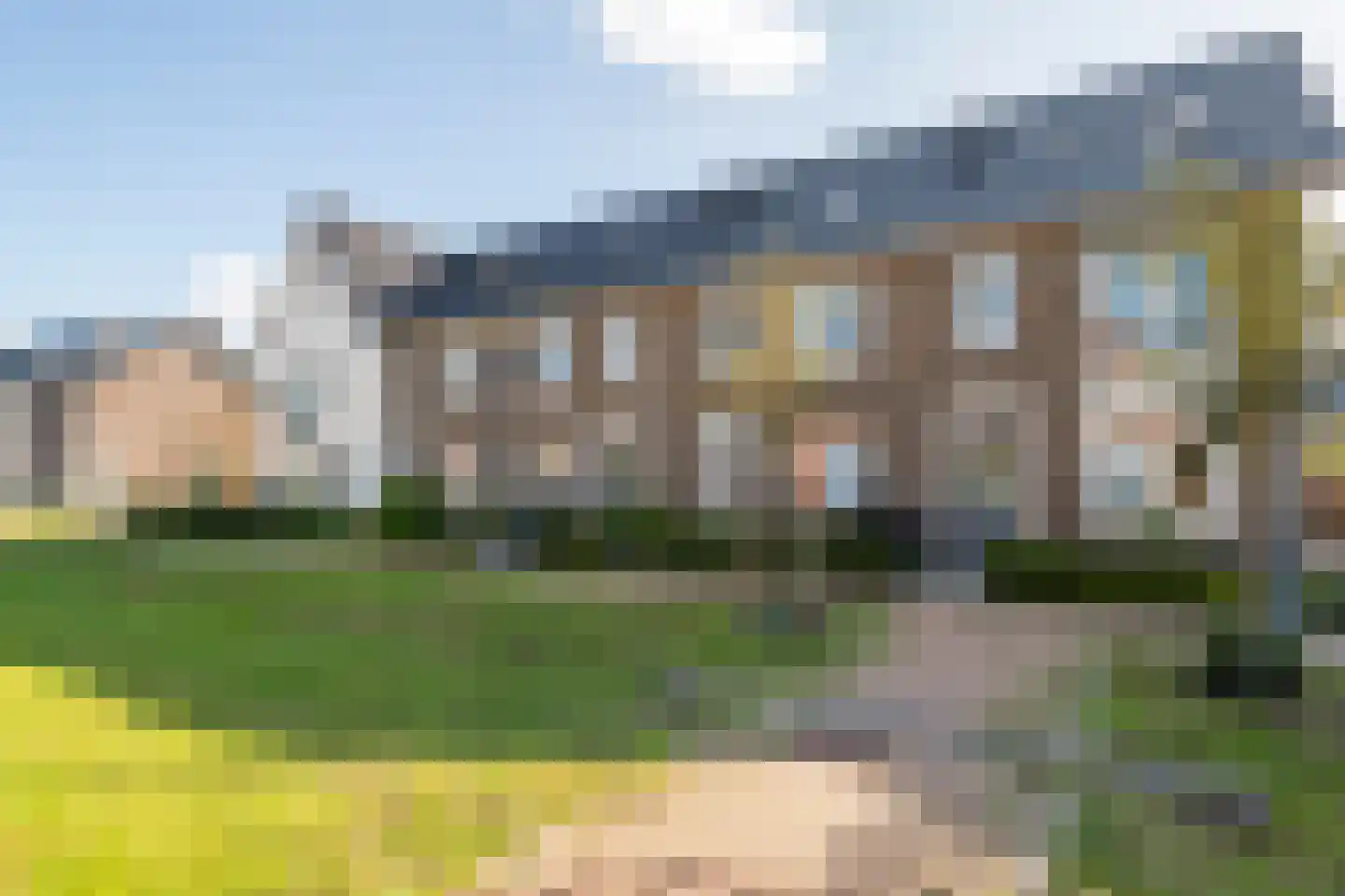 Scholekster 25 Maurik thumbnail 5