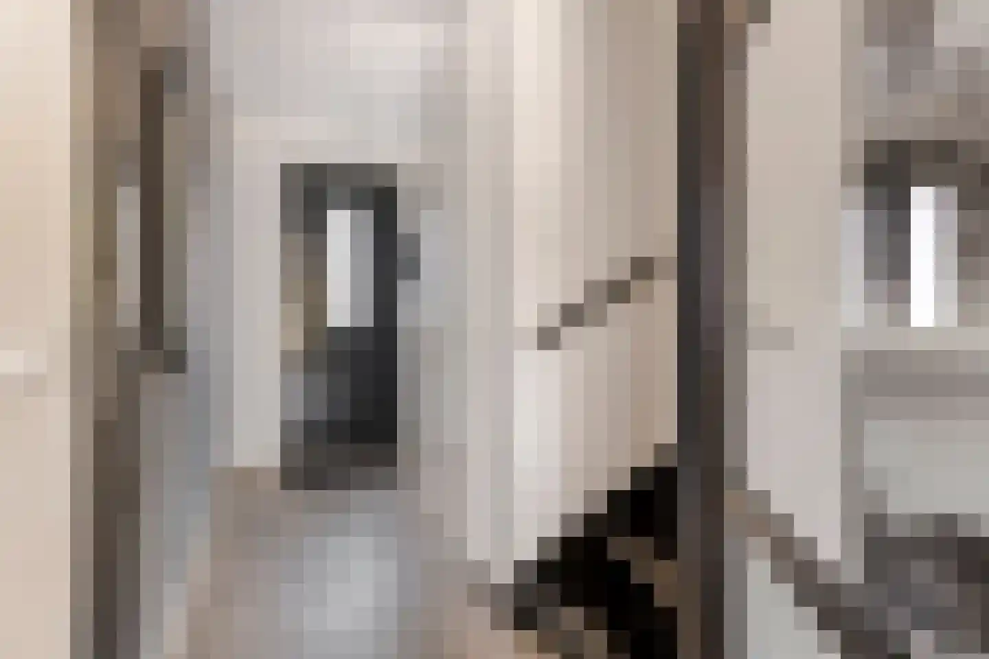 Scholekster 25 Maurik thumbnail 7