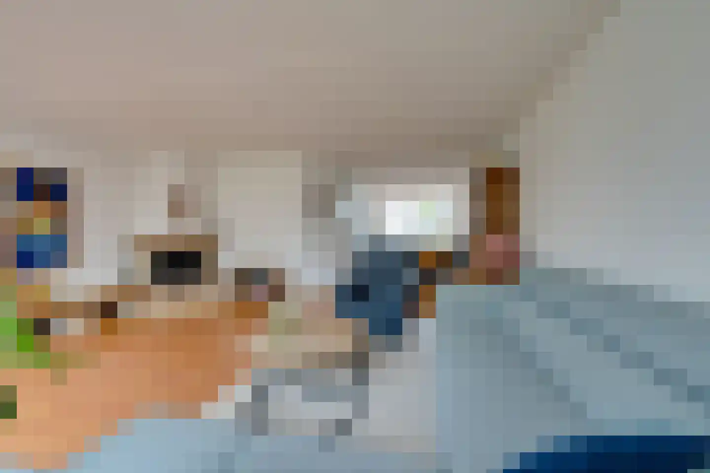 Scholekster 26 Mijdrecht thumbnail 18