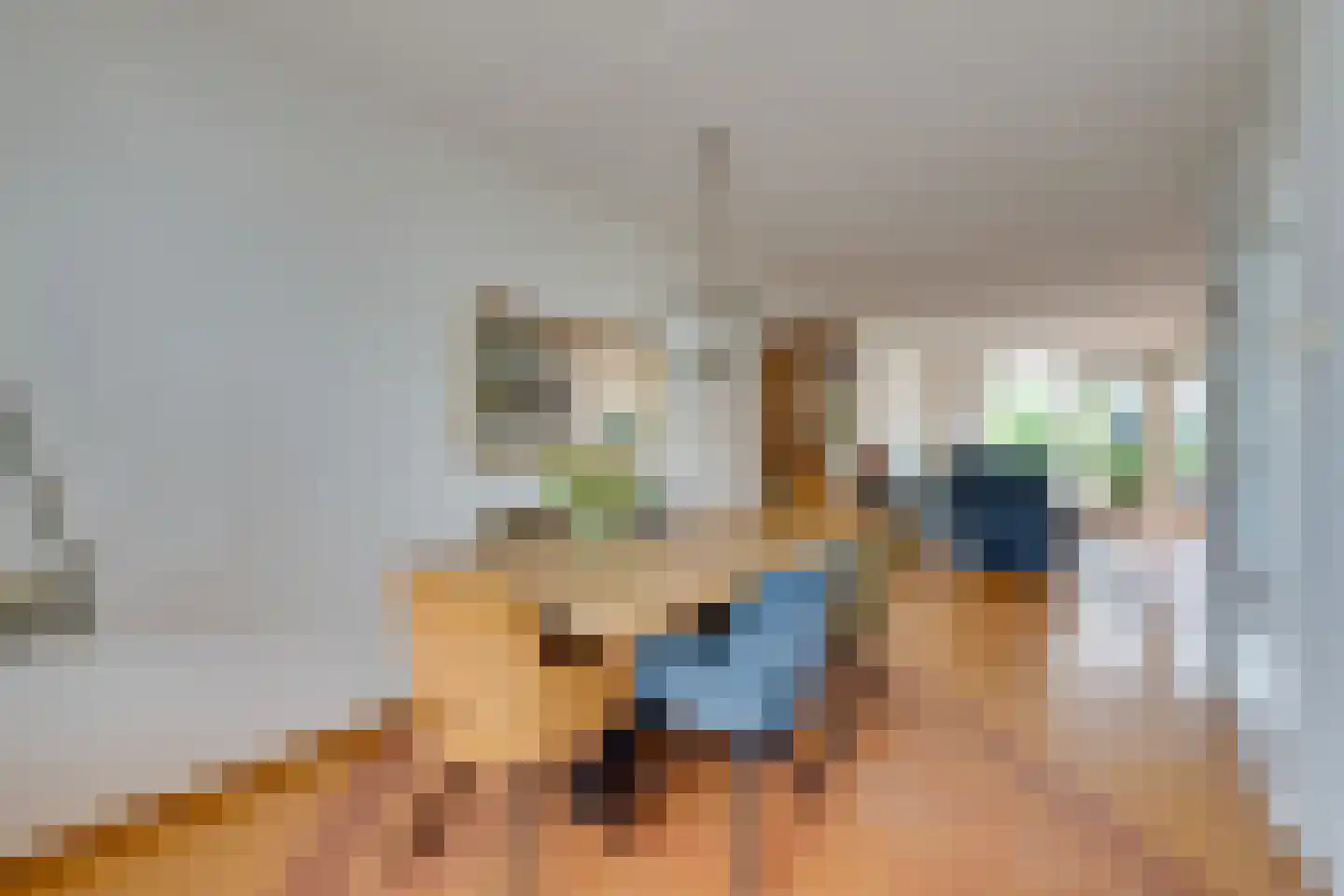 Scholekster 26 Mijdrecht thumbnail 20