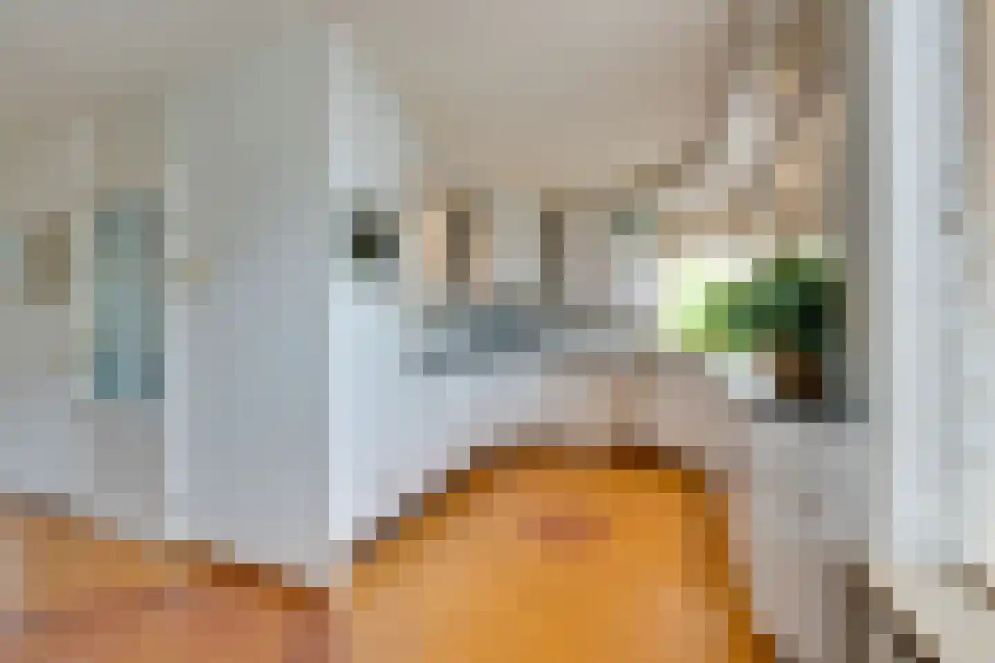 Scholekster 26 Mijdrecht thumbnail 21