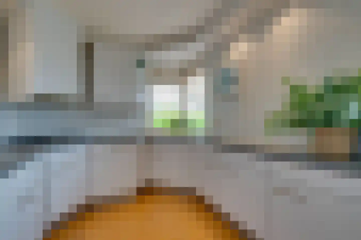 Scholekster 26 Mijdrecht thumbnail 22