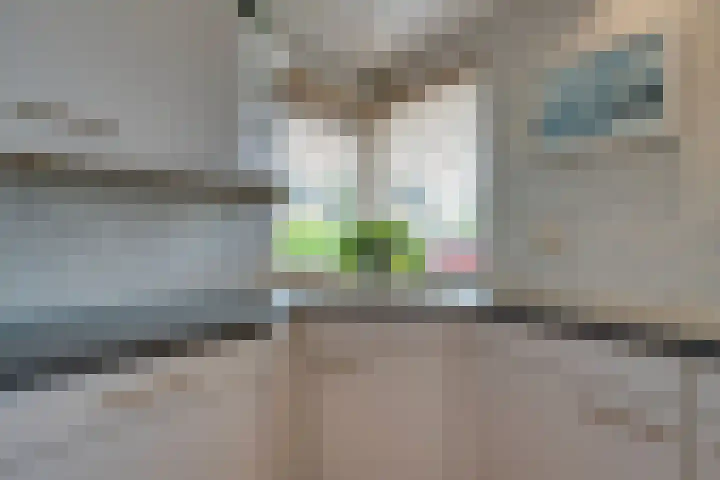 Scholekster 26 Mijdrecht thumbnail 23