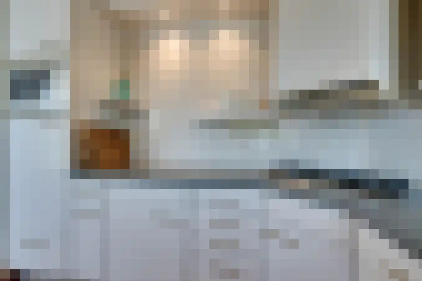 Scholekster 26 Mijdrecht thumbnail 24
